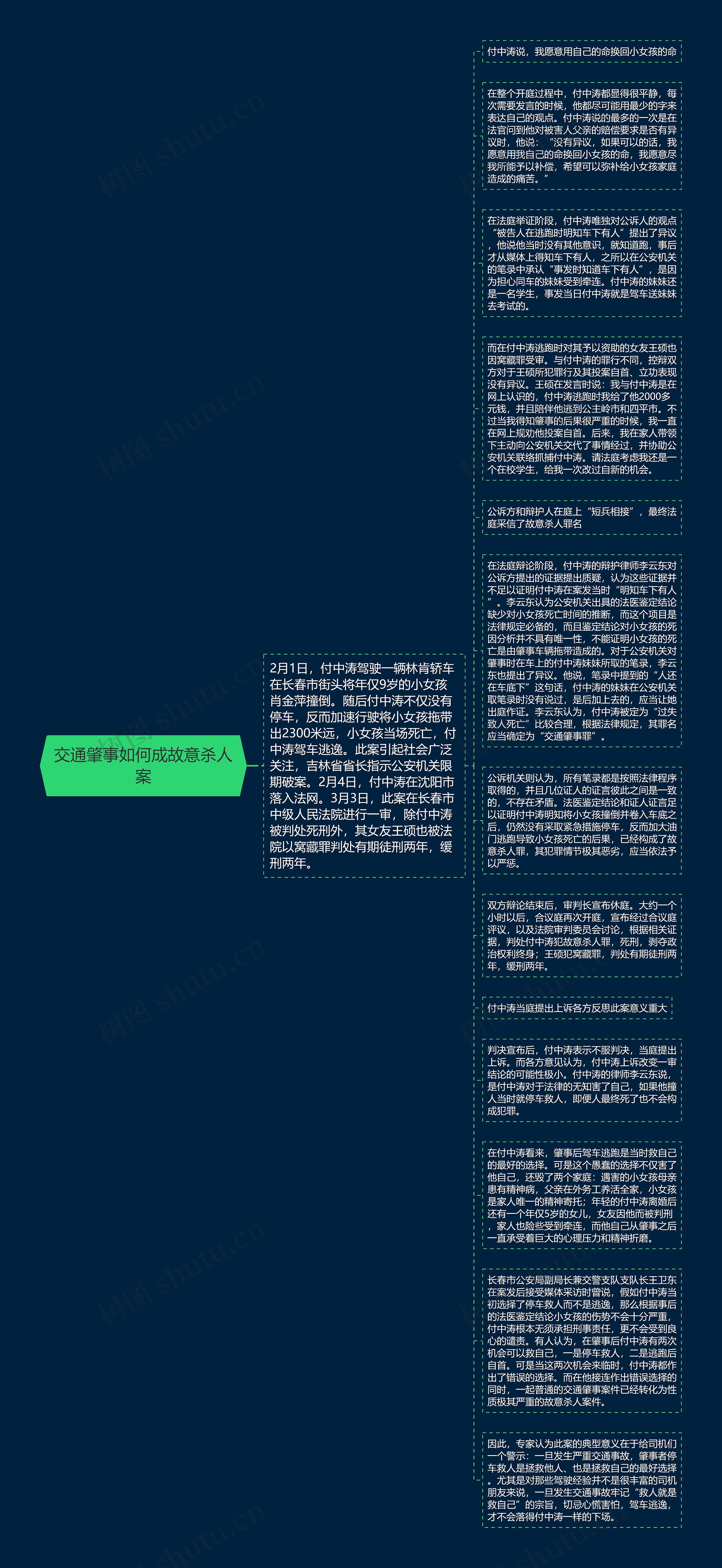 交通肇事如何成故意杀人案思维导图
