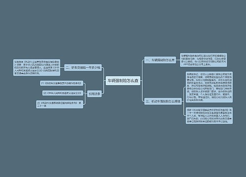 车辆强制险怎么查