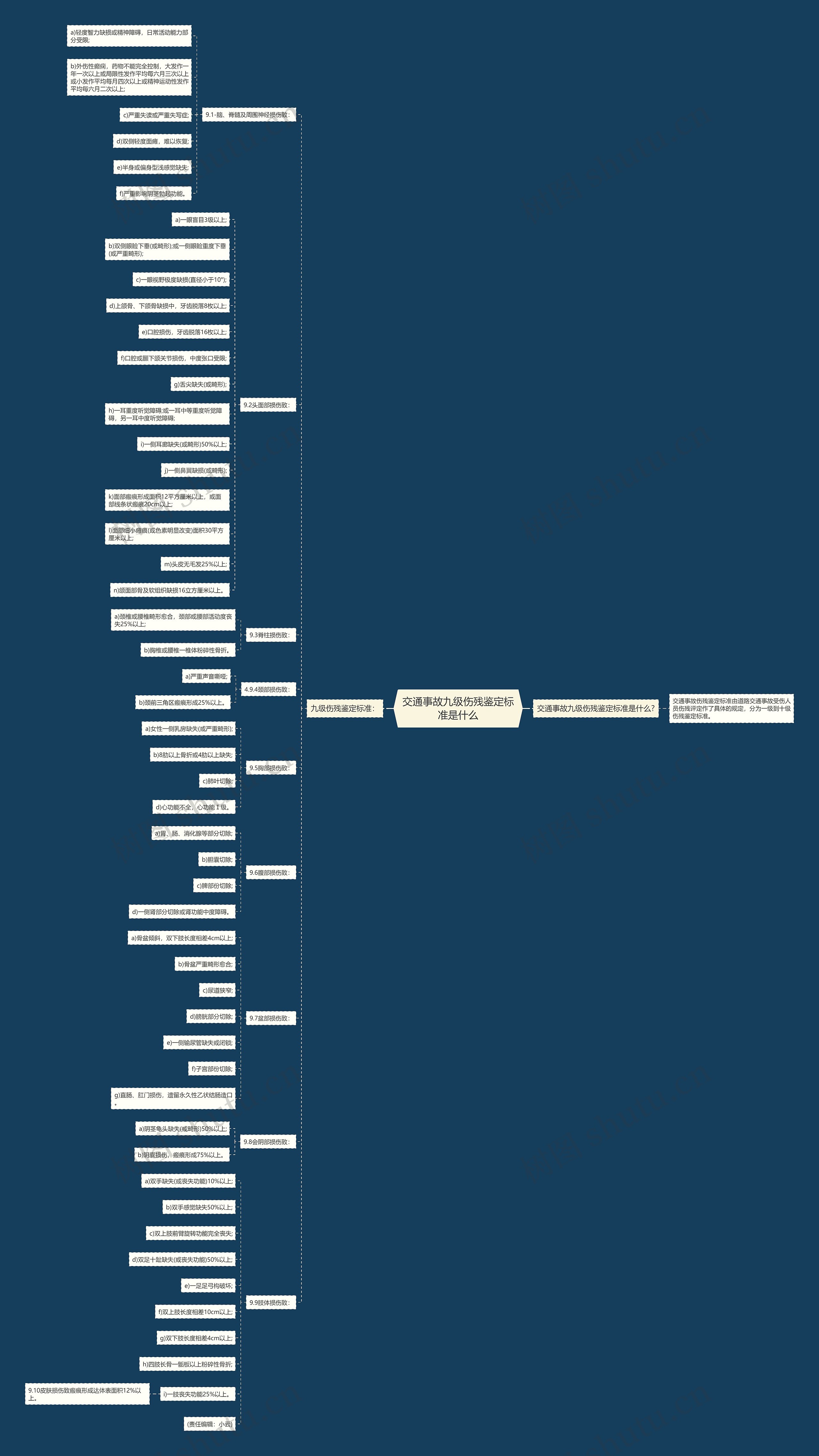 交通事故九级伤残鉴定标准是什么思维导图