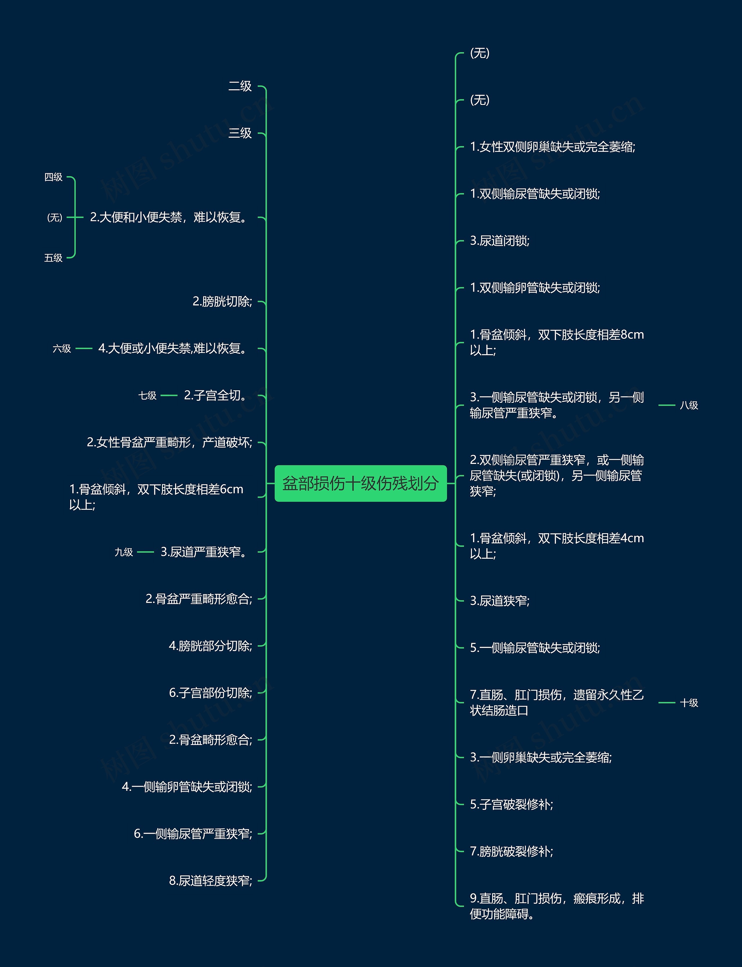 盆部损伤十级伤残划分思维导图