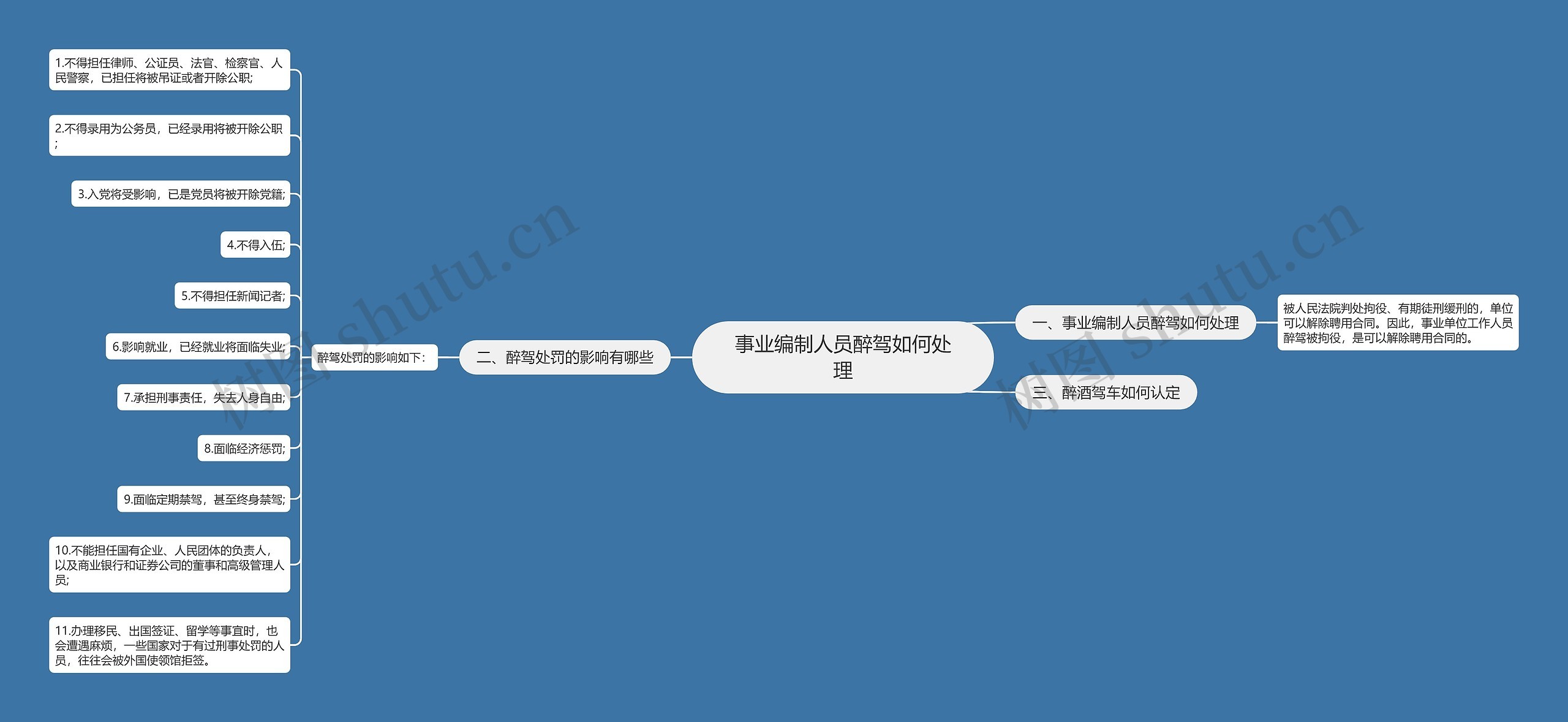 事业编制人员醉驾如何处理