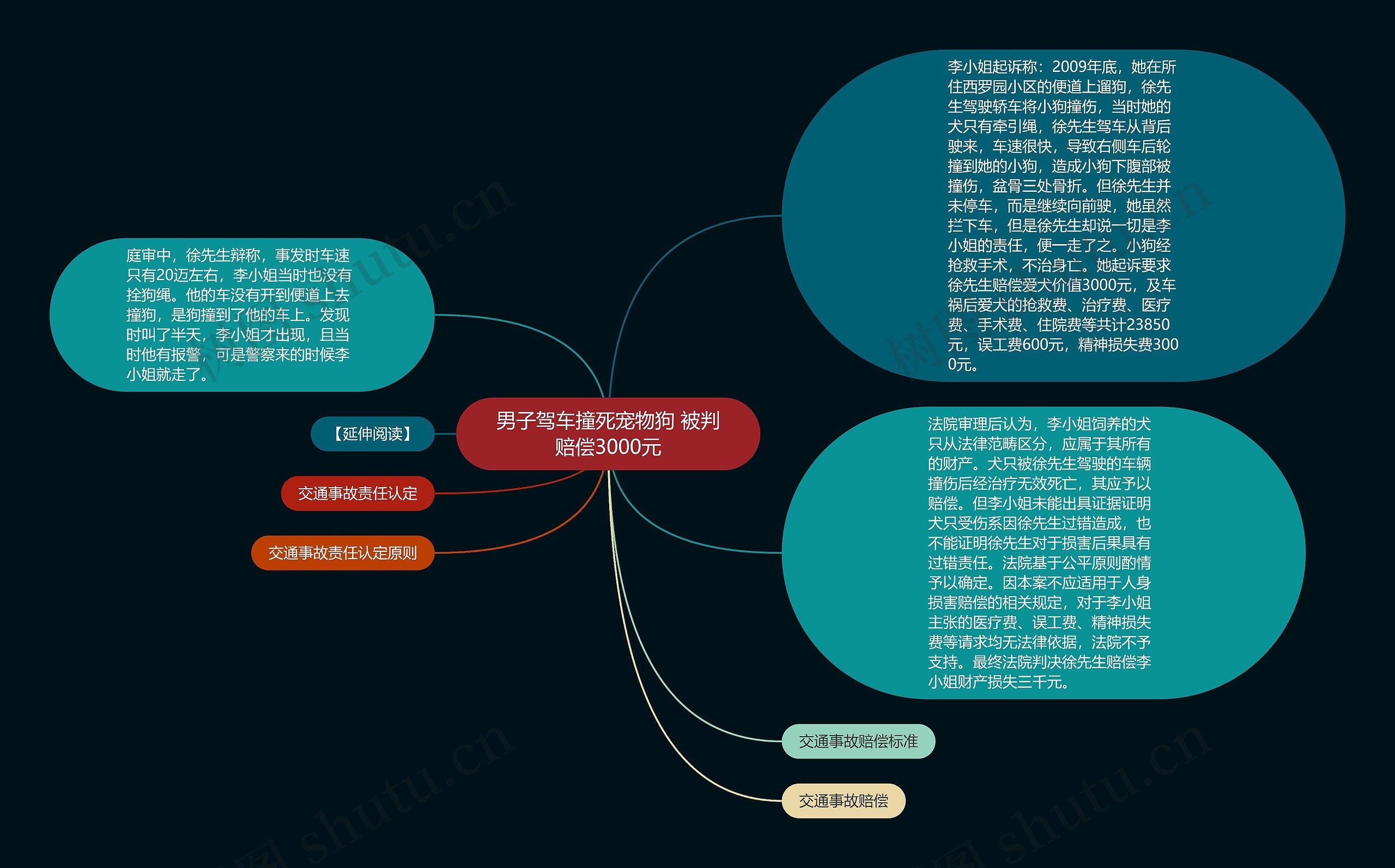 男子驾车撞死宠物狗 被判赔偿3000元思维导图