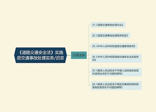 《道路交通安全法》实施后交通事故处理实务/迟菲