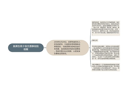 施某伤残十级交通事故赔偿案