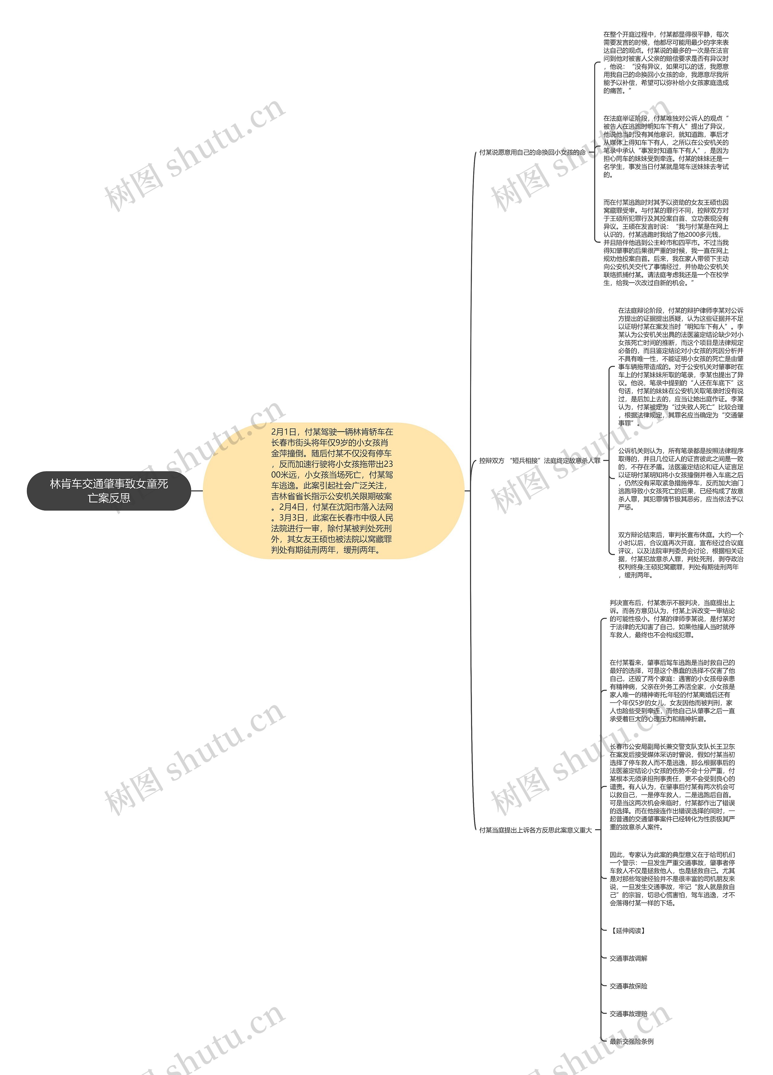 林肯车交通肇事致女童死亡案反思思维导图