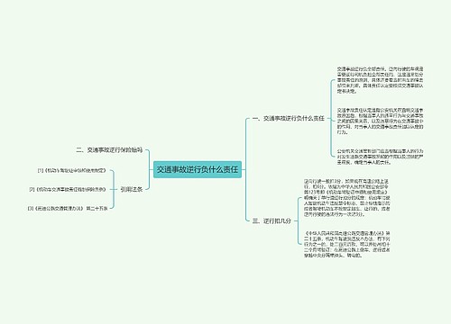 交通事故逆行负什么责任