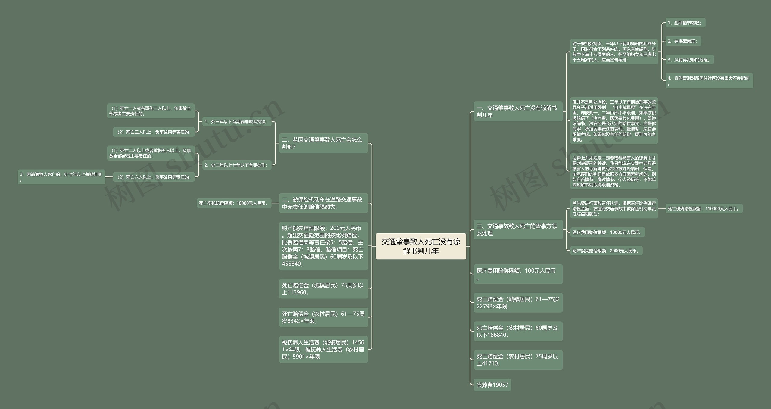 交通肇事致人死亡没有谅解书判几年思维导图