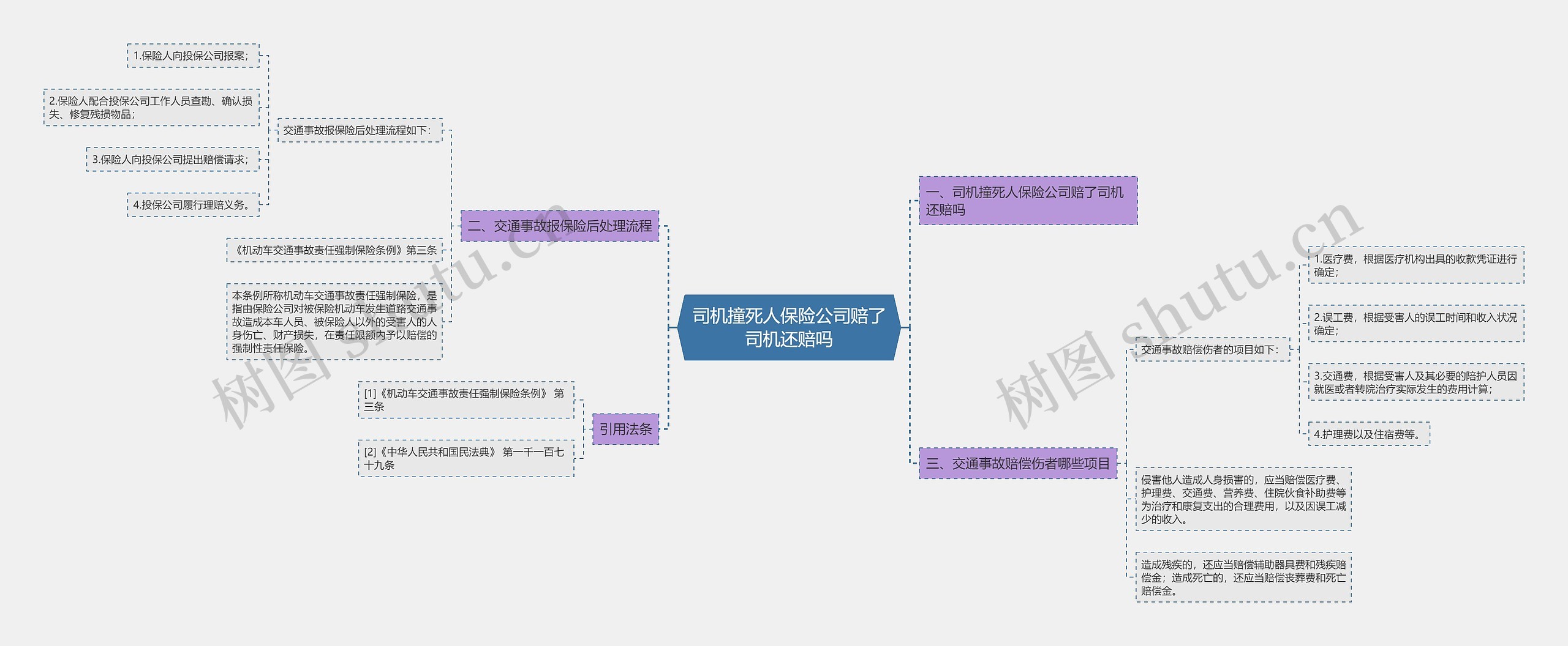 司机撞死人保险公司赔了司机还赔吗思维导图