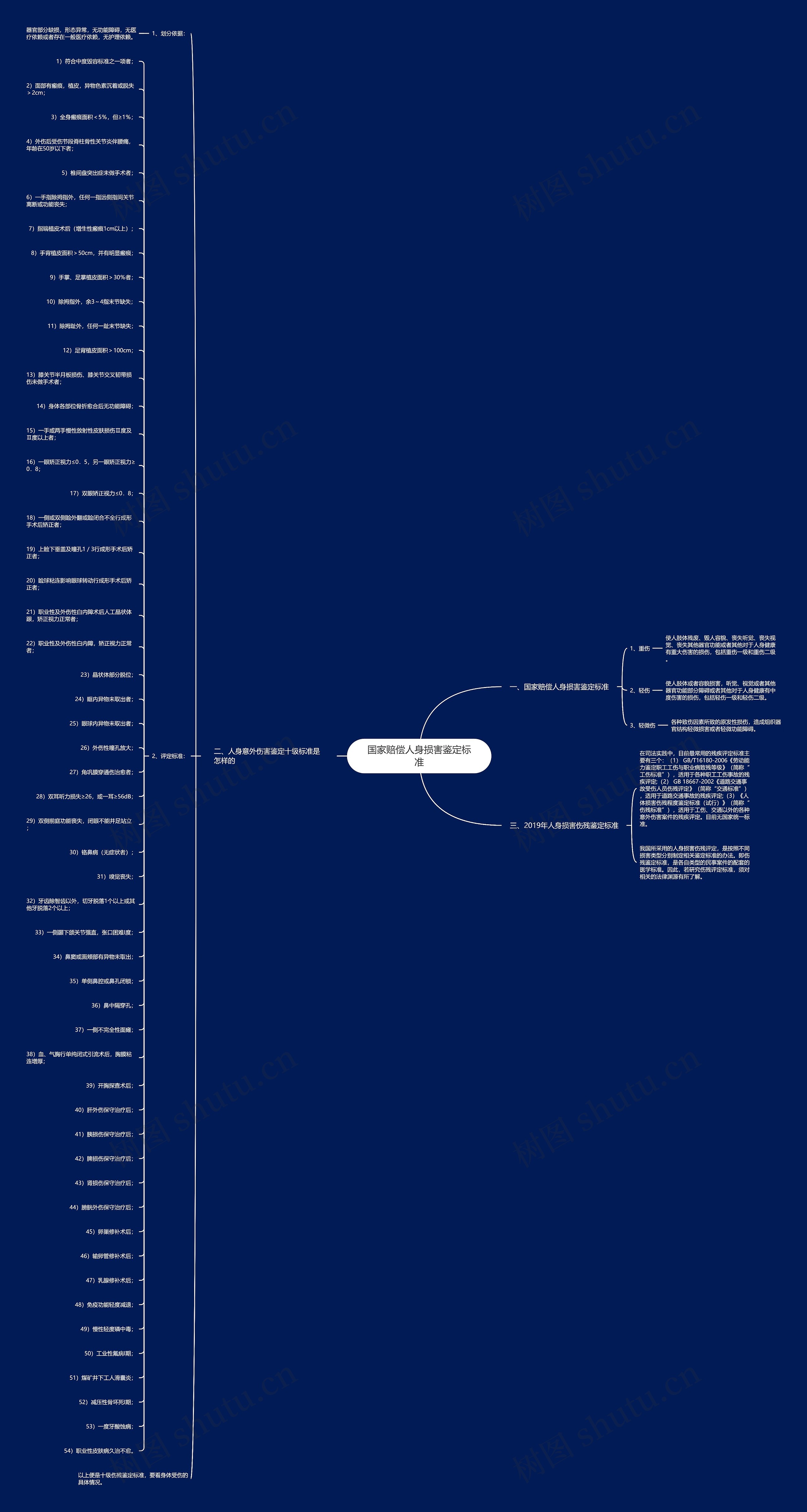 国家赔偿人身损害鉴定标准思维导图