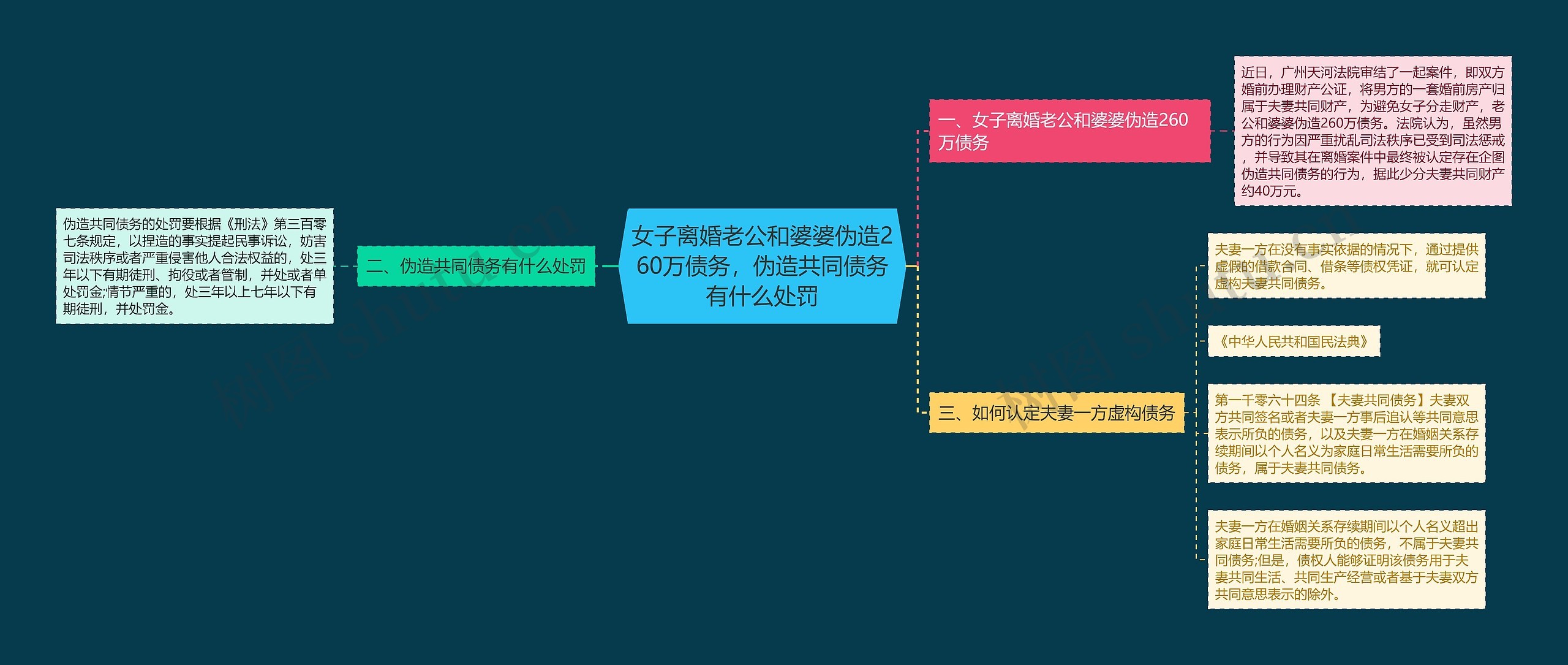 女子离婚老公和婆婆伪造260万债务，伪造共同债务有什么处罚思维导图