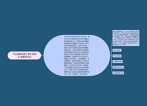 【交通事故案】雾中超速行 肇事获刑罚