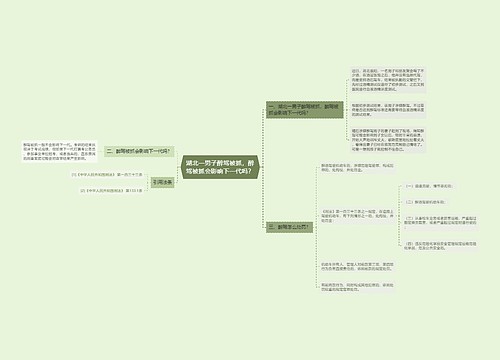 湖北一男子醉驾被抓，醉驾被抓会影响下一代吗？