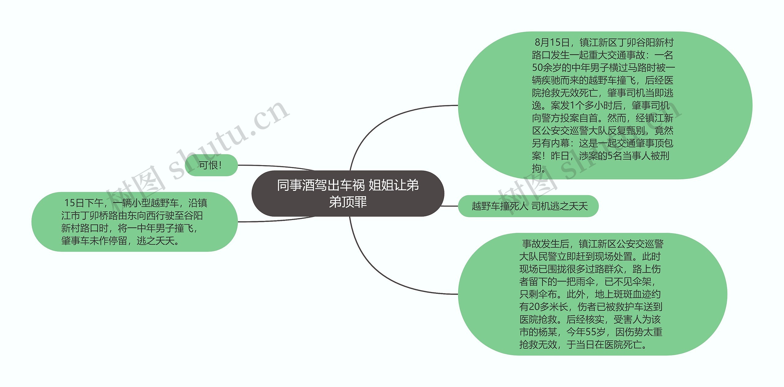 同事酒驾出车祸 姐姐让弟弟顶罪思维导图