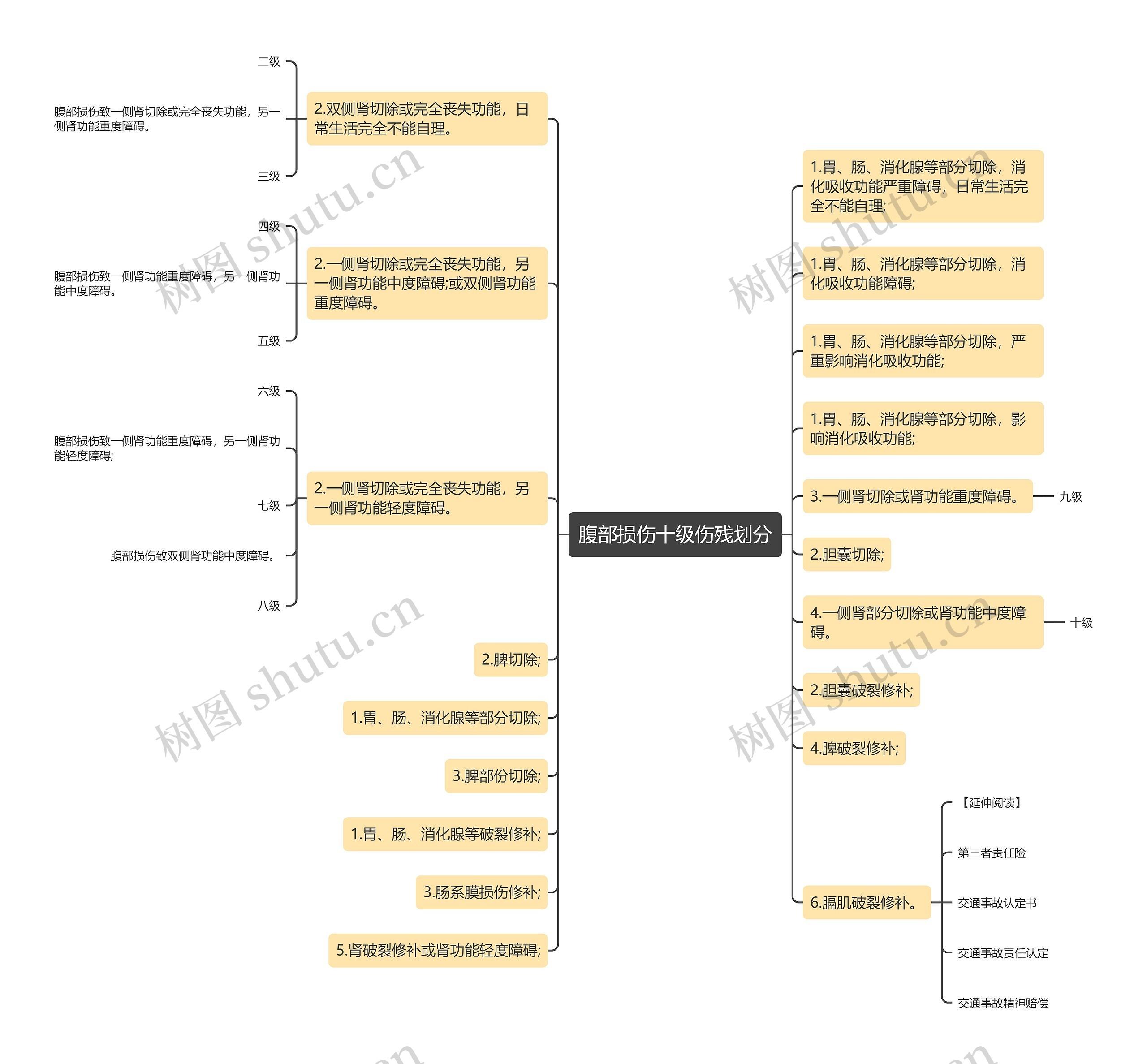腹部损伤十级伤残划分思维导图