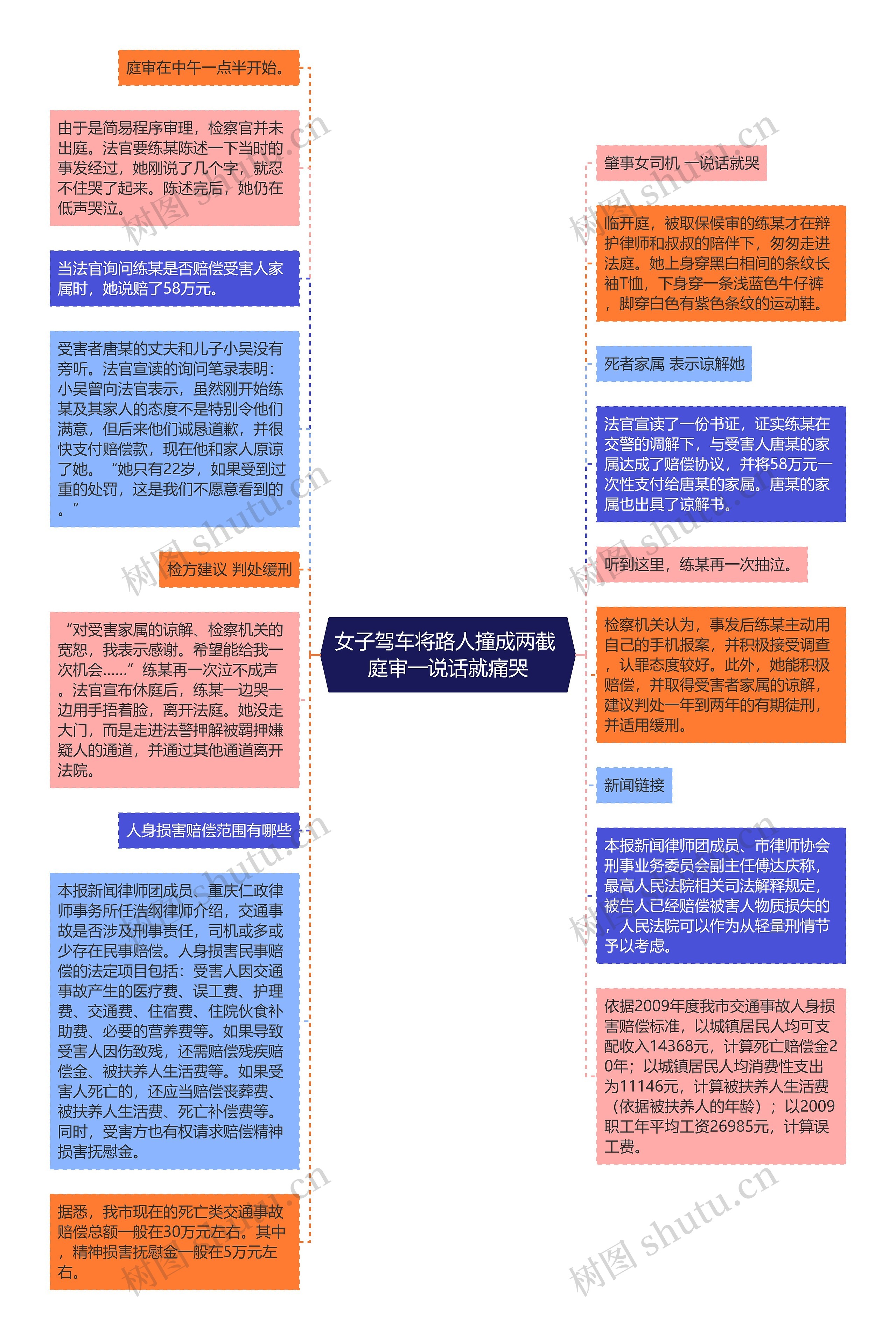 女子驾车将路人撞成两截 庭审一说话就痛哭思维导图