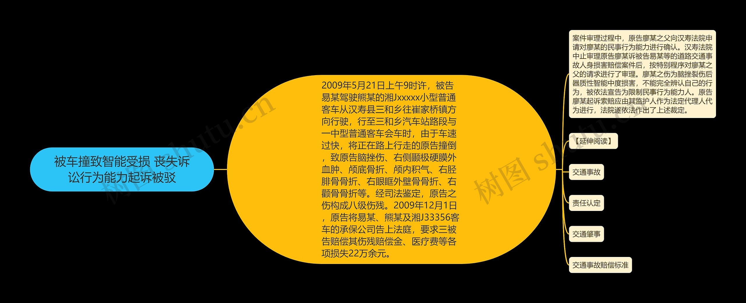 被车撞致智能受损 丧失诉讼行为能力起诉被驳 被车撞致智能受损 丧失诉讼行为能力起诉被驳