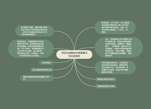 恶性交通事故涉嫌肇事司机自首被拘