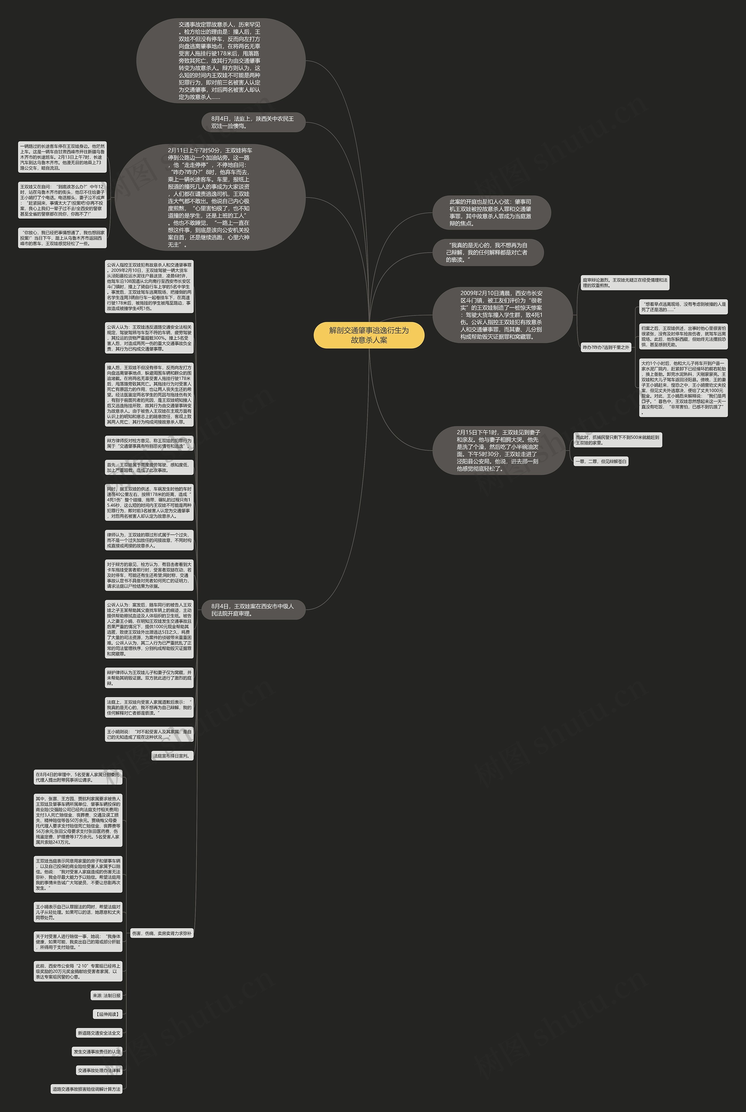 解剖交通肇事逃逸衍生为故意杀人案思维导图