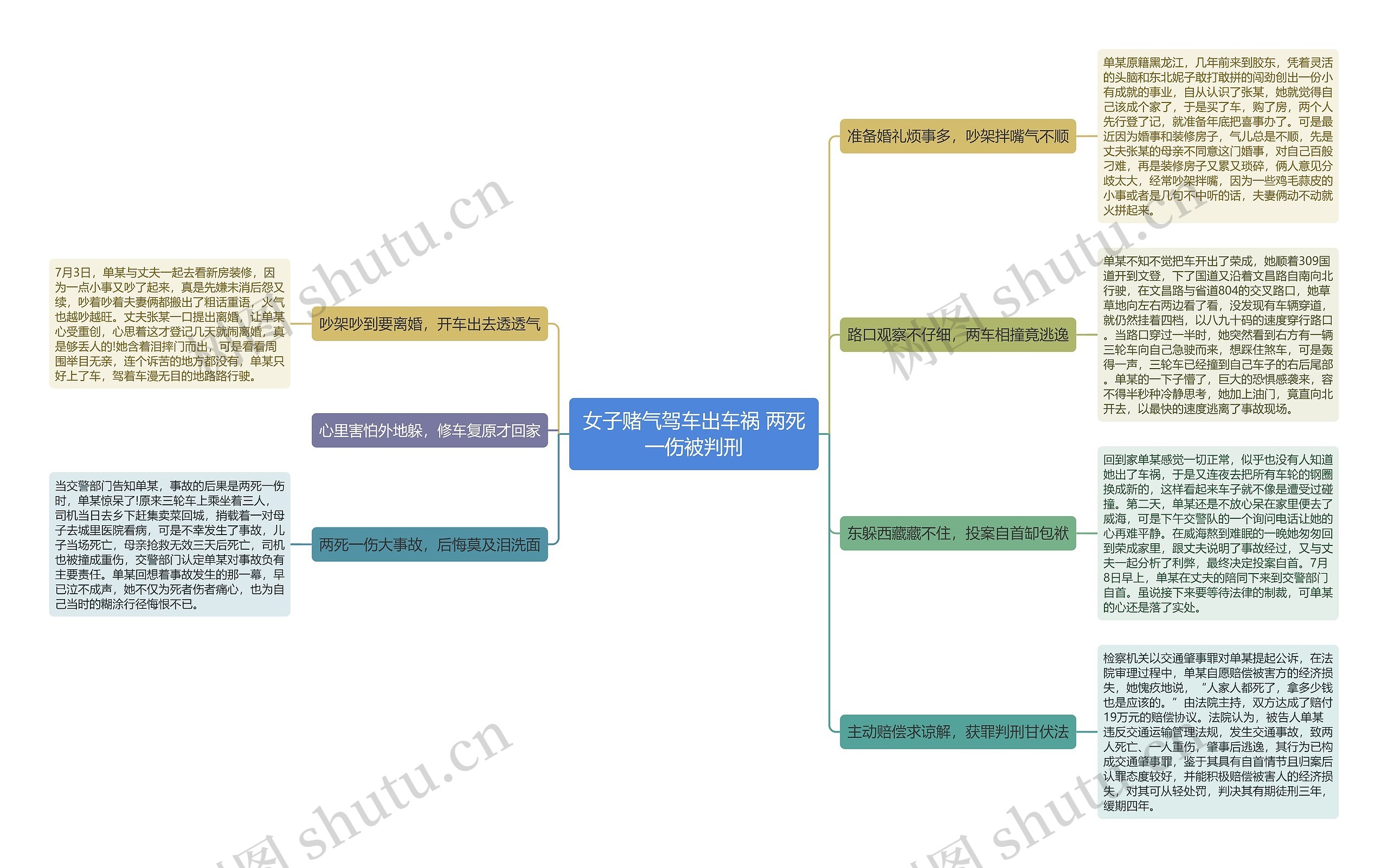 女子赌气驾车出车祸 两死一伤被判刑思维导图