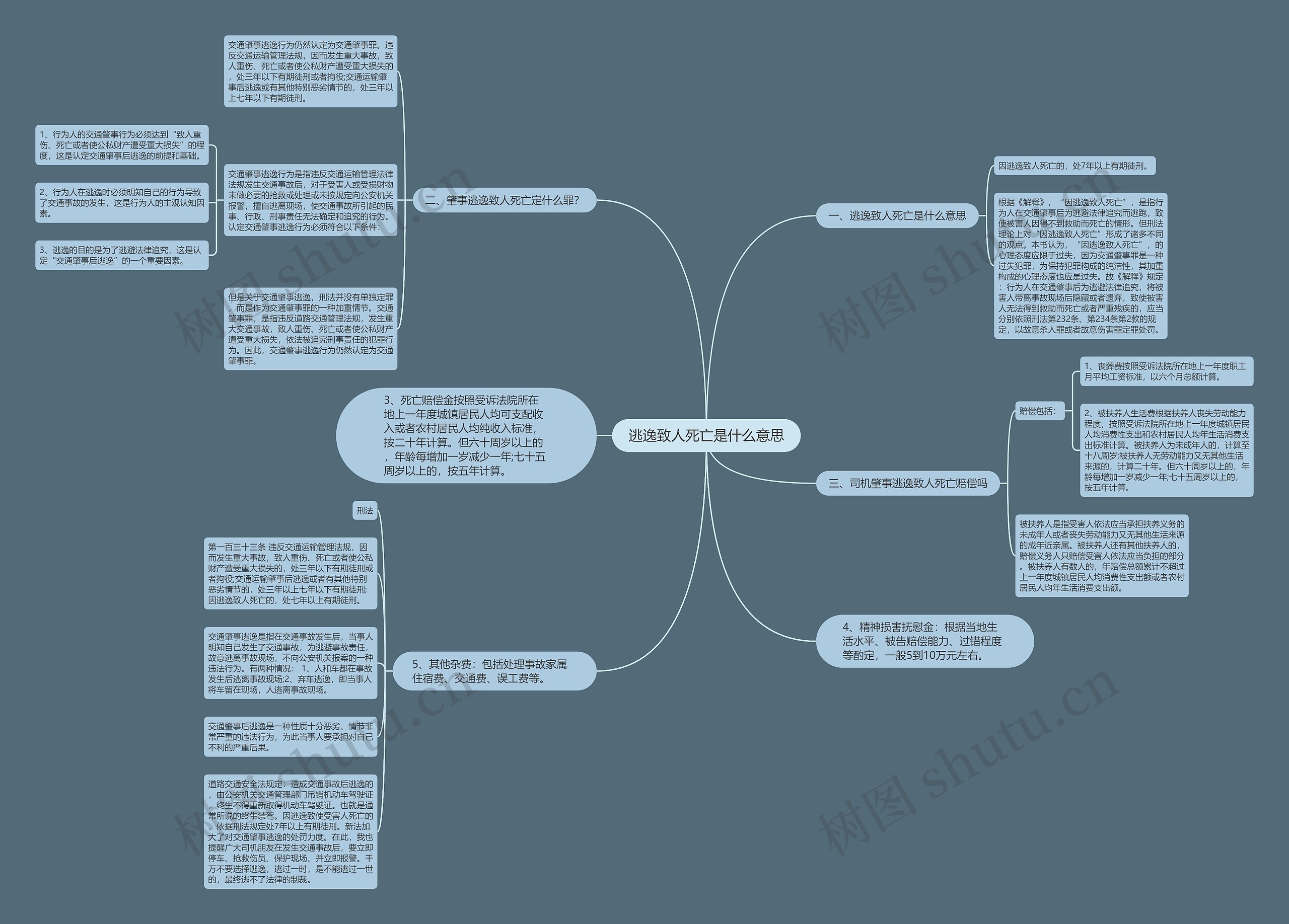 逃逸致人死亡是什么意思思维导图