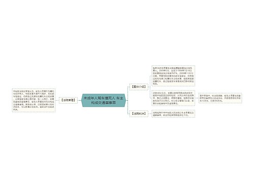 未成年人驾车撞死人 车主构成交通肇事罪