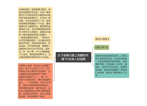 女子夜晚马路上兜圈学车 撞飞3名路人后逃离