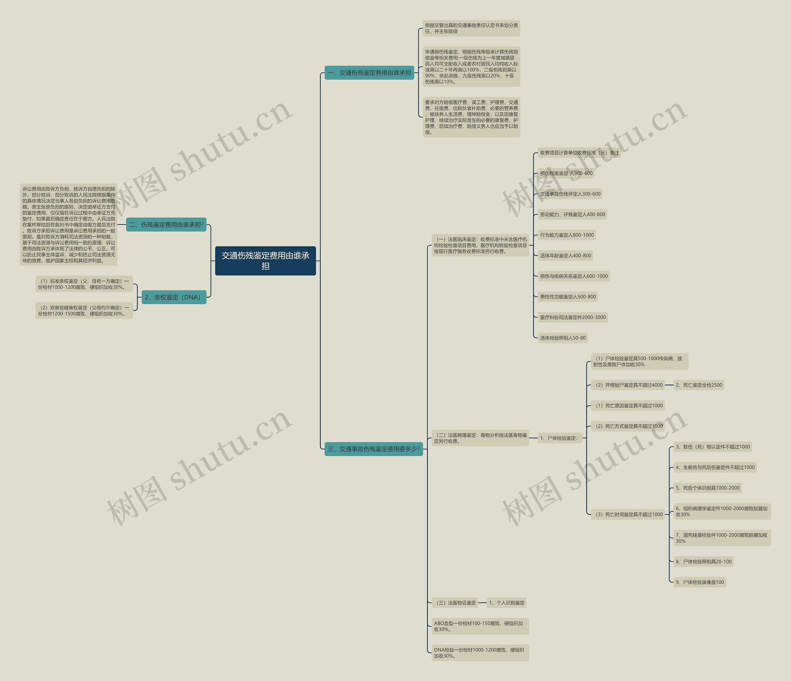 交通伤残鉴定费用由谁承担思维导图