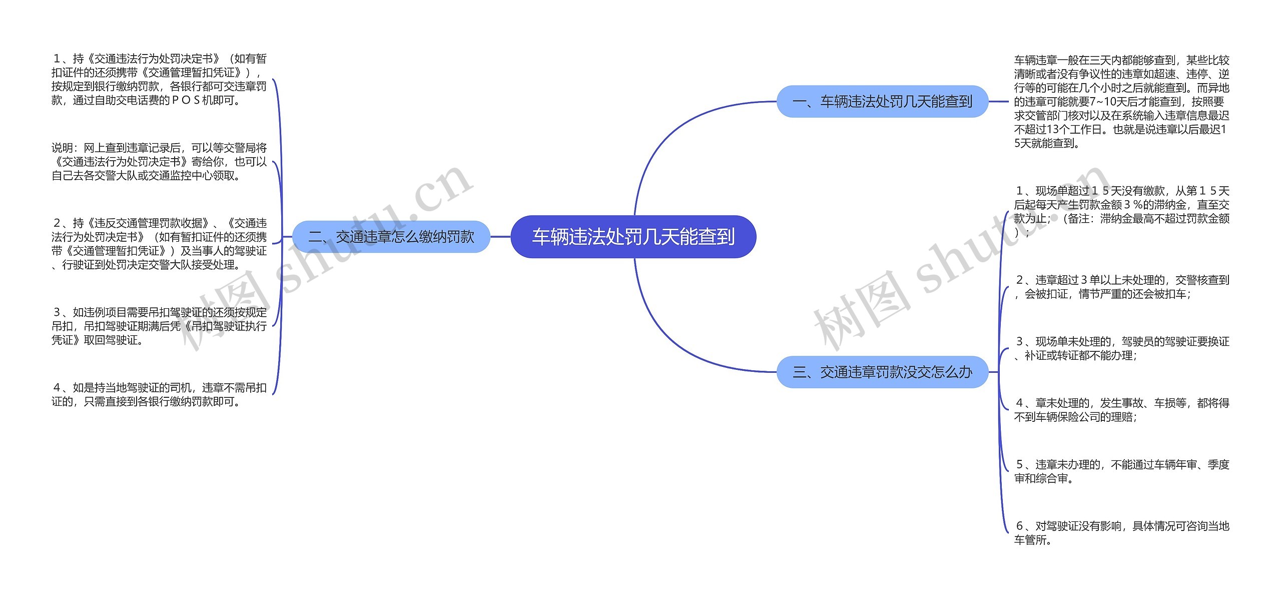 车辆违法处罚几天能查到