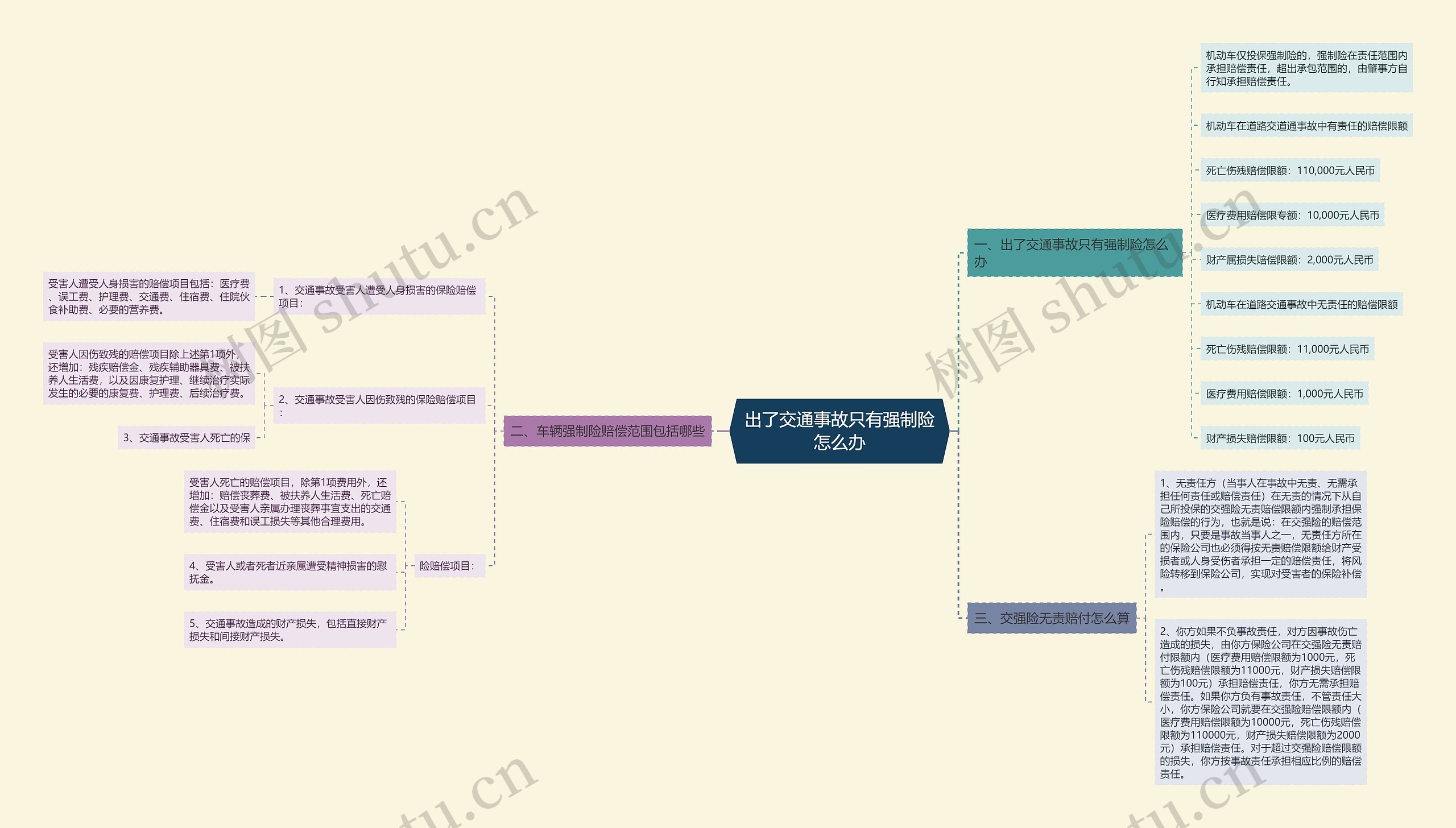 出了交通事故只有强制险怎么办思维导图