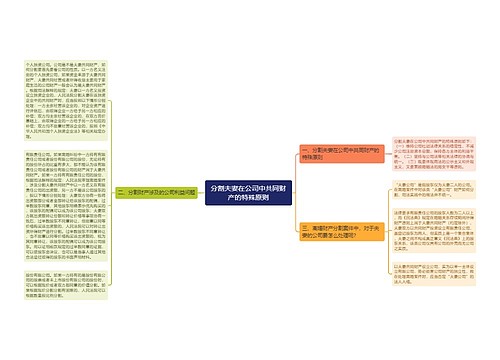 分割夫妻在公司中共同财产的特殊原则