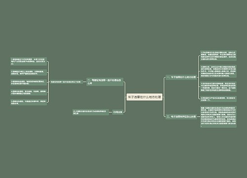 车子违章在什么地方处理