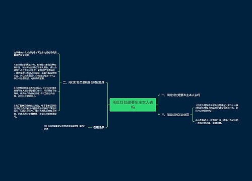 闯红灯处理要车主本人去吗
