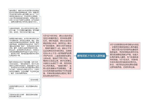 醉驾司机下车打人获刑案