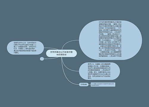 附带民事诉讼不能请求精神损害赔偿