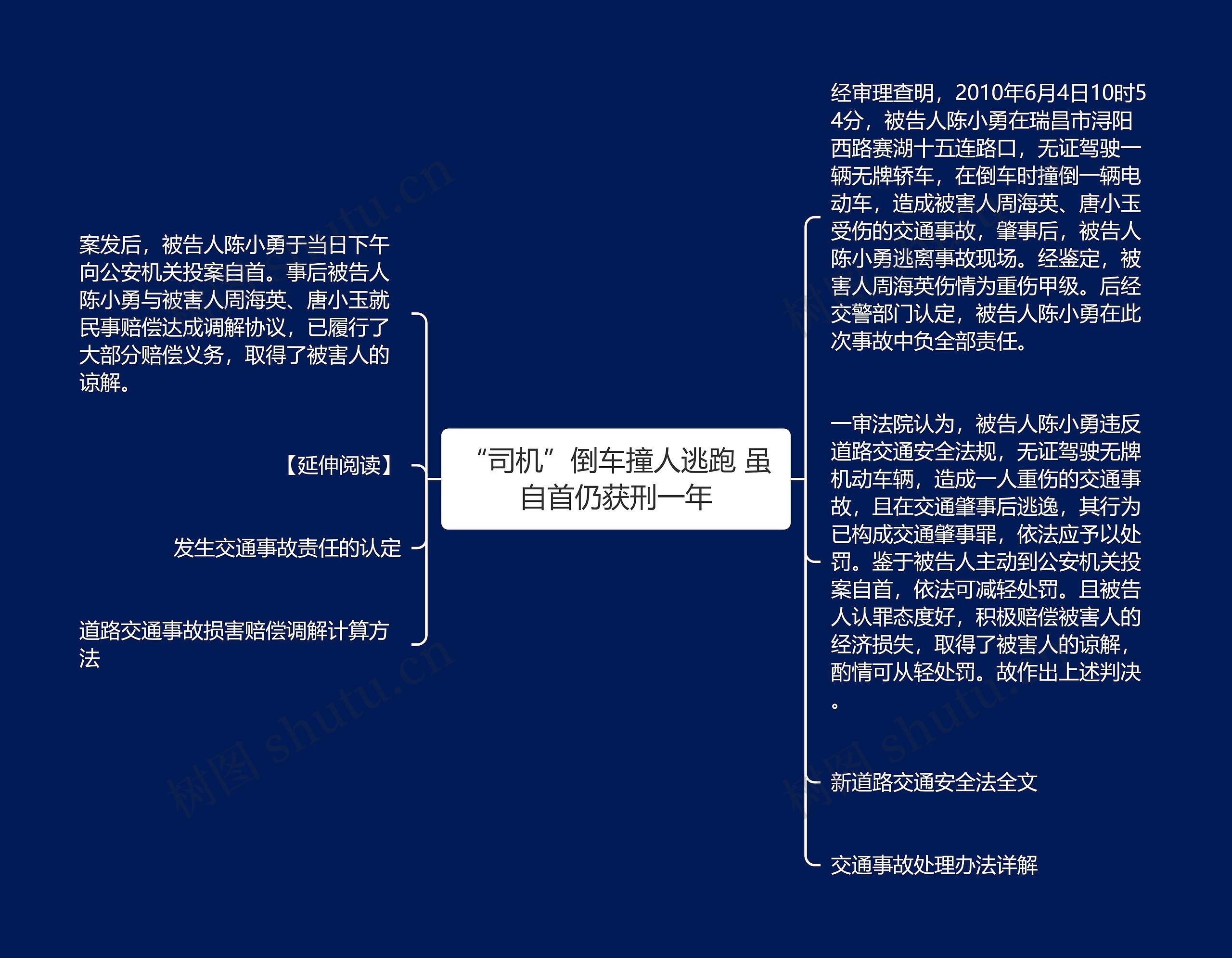 “司机”倒车撞人逃跑 虽自首仍获刑一年思维导图