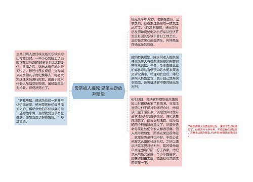 母亲被人撞死 兄弟决定放弃赔偿