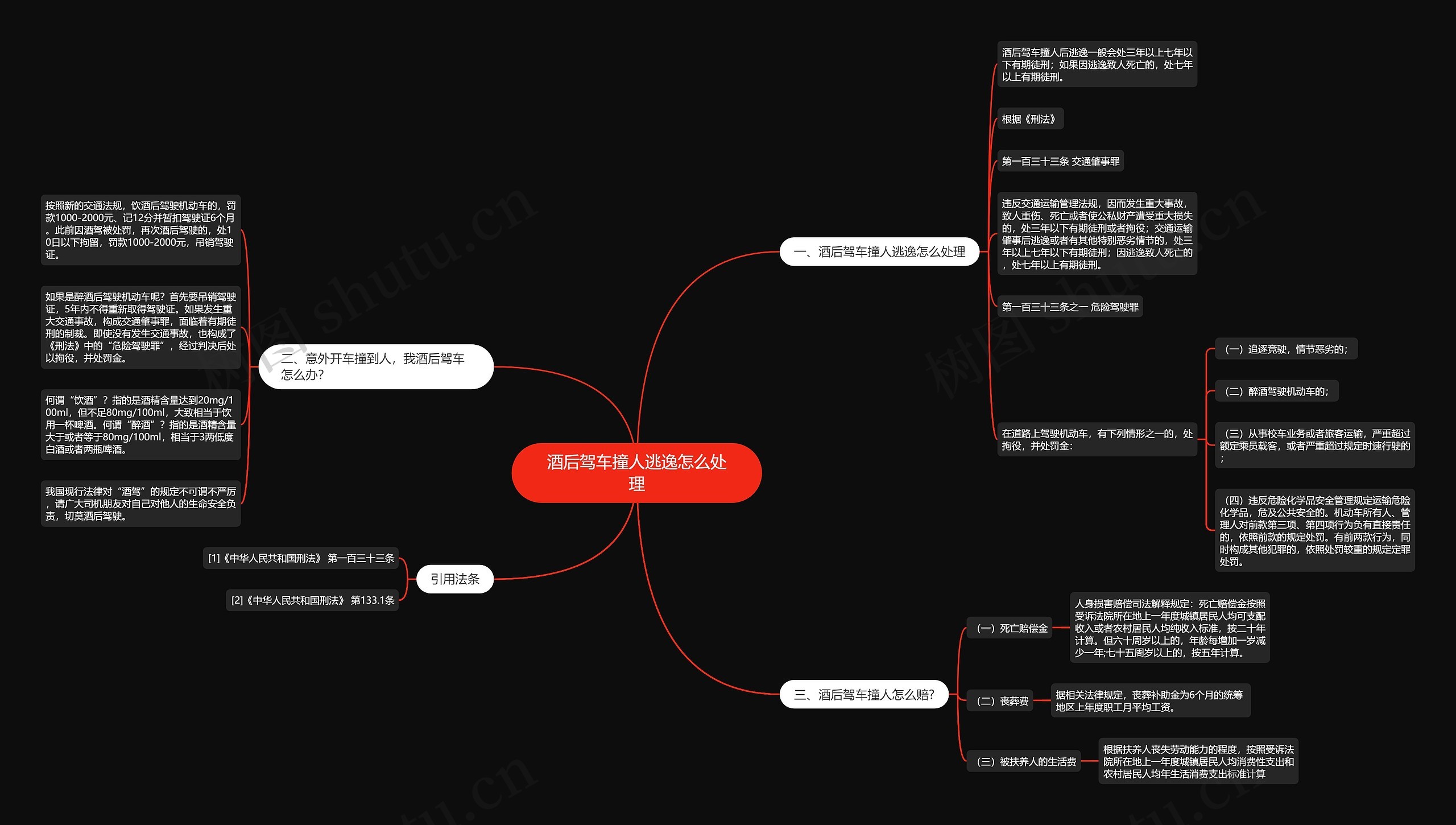 酒后驾车撞人逃逸怎么处理思维导图
