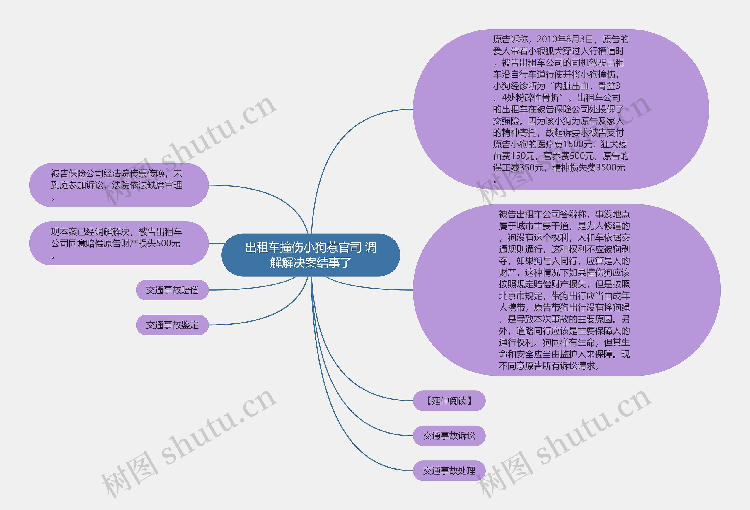 出租车撞伤小狗惹官司 调解解决案结事了