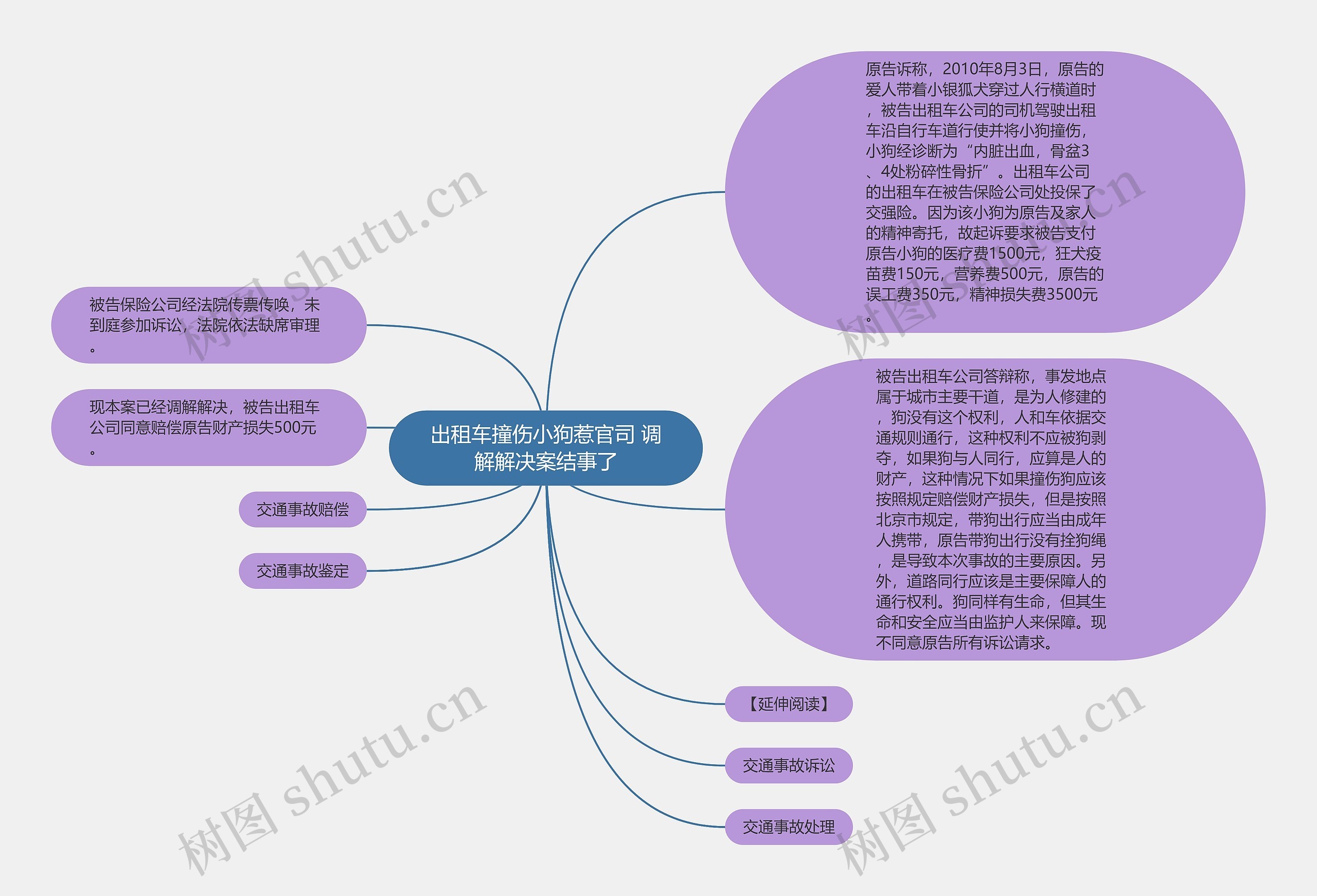 出租车撞伤小狗惹官司 调解解决案结事了思维导图