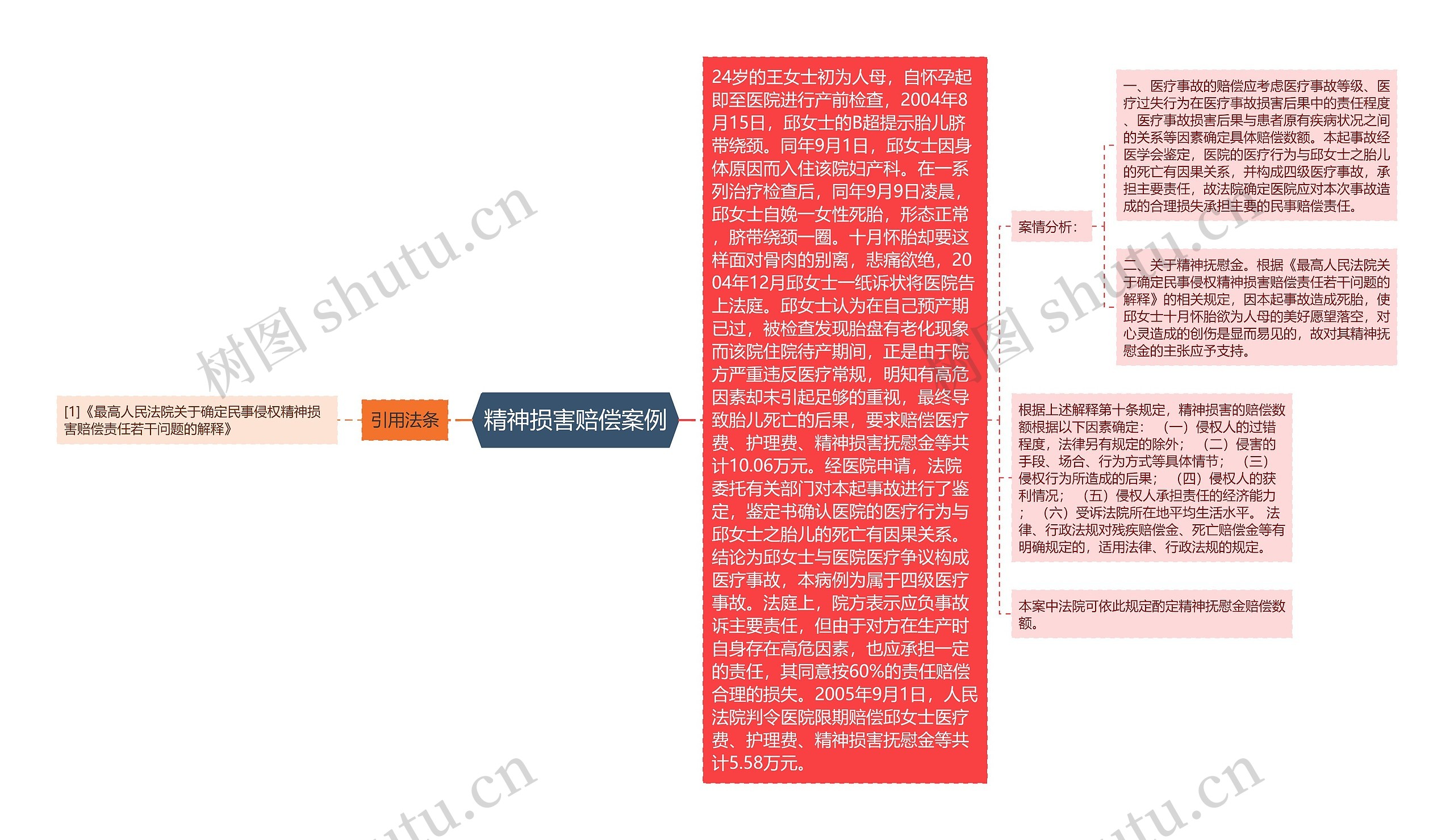 精神损害赔偿案例思维导图