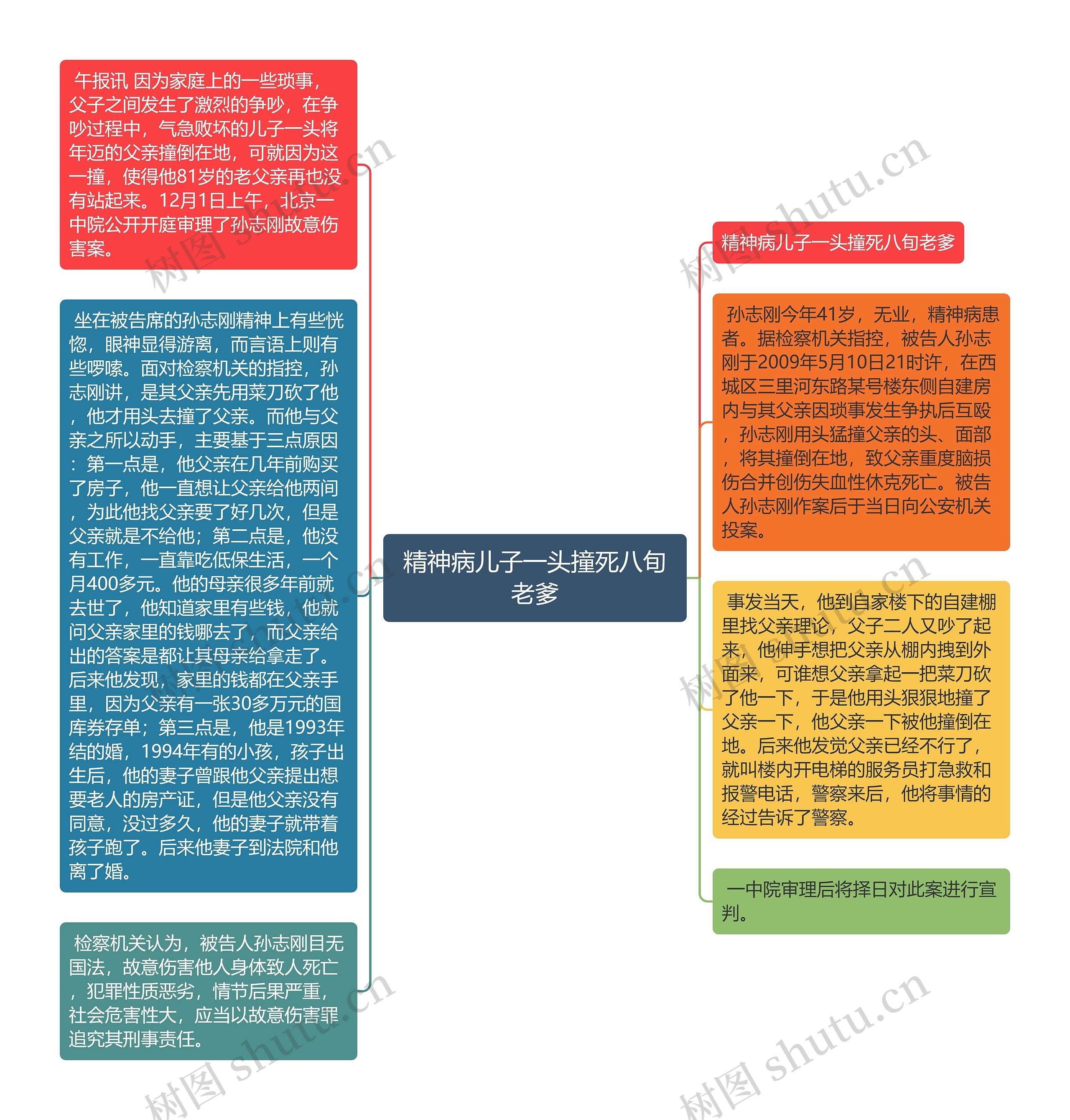 精神病儿子一头撞死八旬老爹思维导图