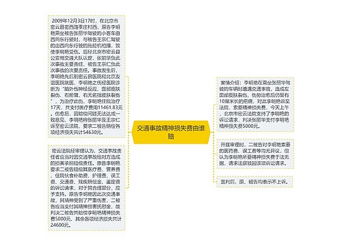 交通事故精神损失费由谁赔