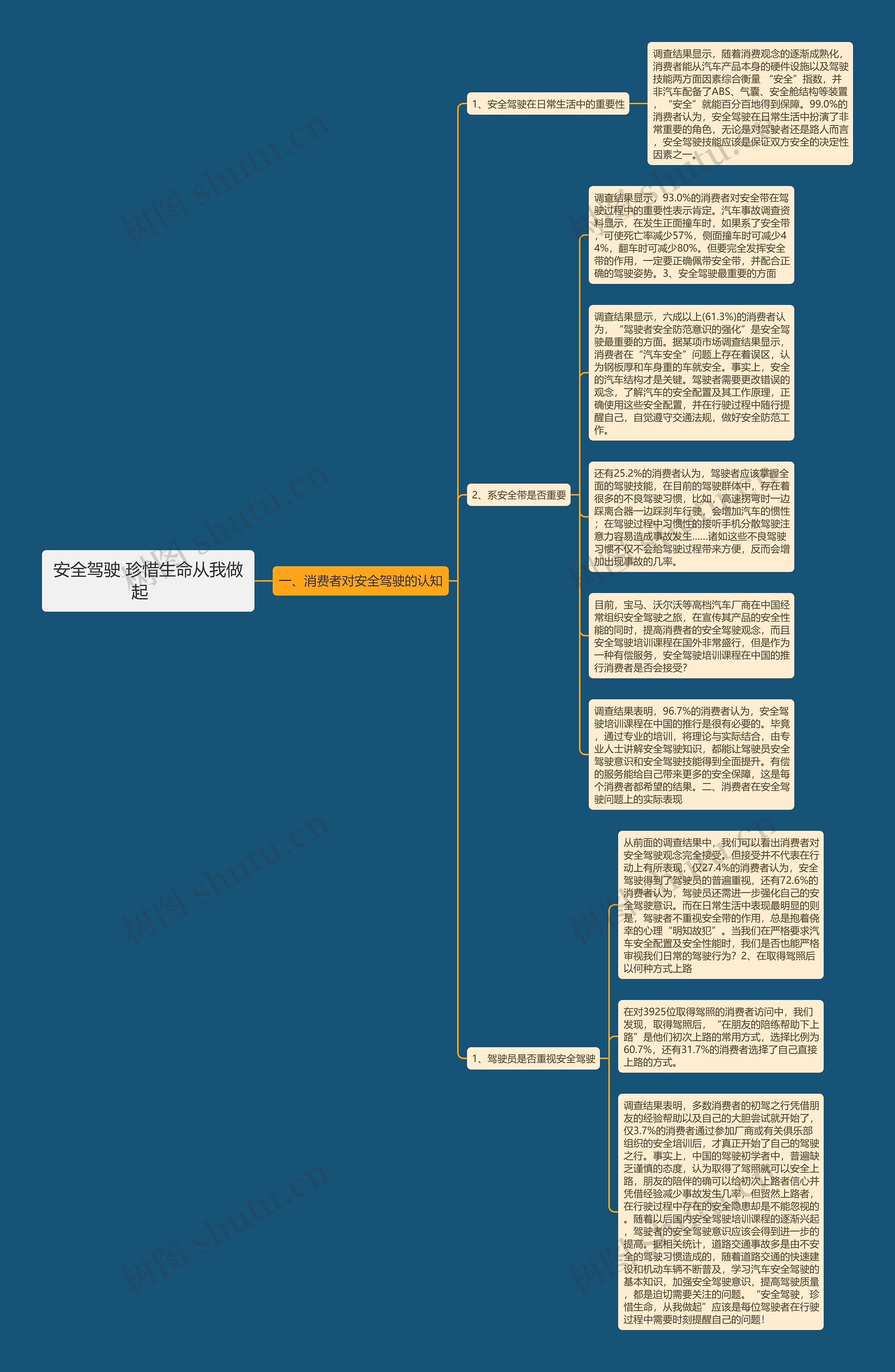 安全驾驶 珍惜生命从我做起　思维导图