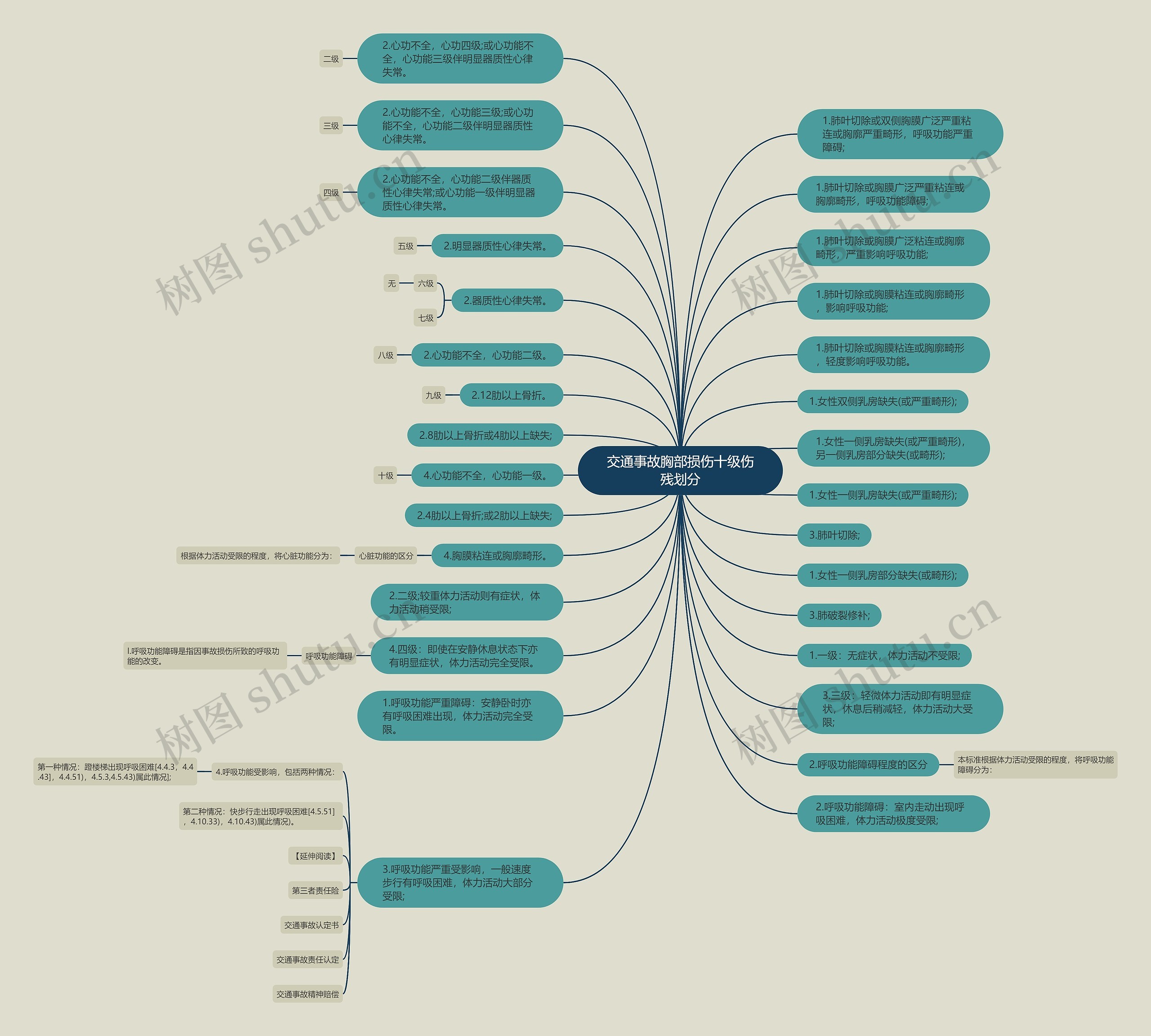交通事故胸部损伤十级伤残划分思维导图