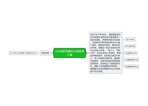 小伙酒后驾摩托车撞伤老人案