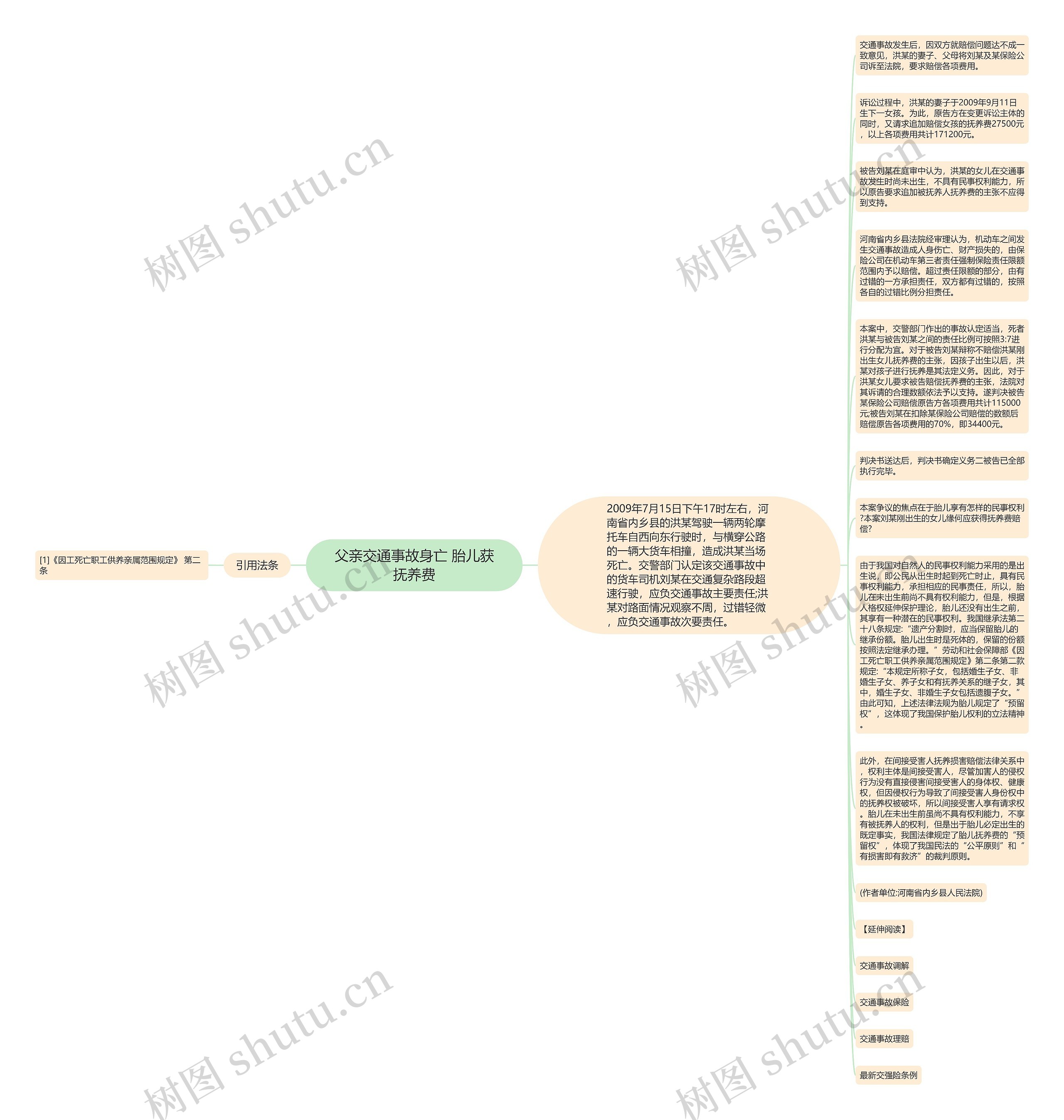 父亲交通事故身亡 胎儿获抚养费思维导图