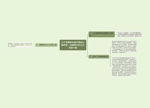 女子违章停车被交警老公贴罚单，违章停车扣几分罚多少钱