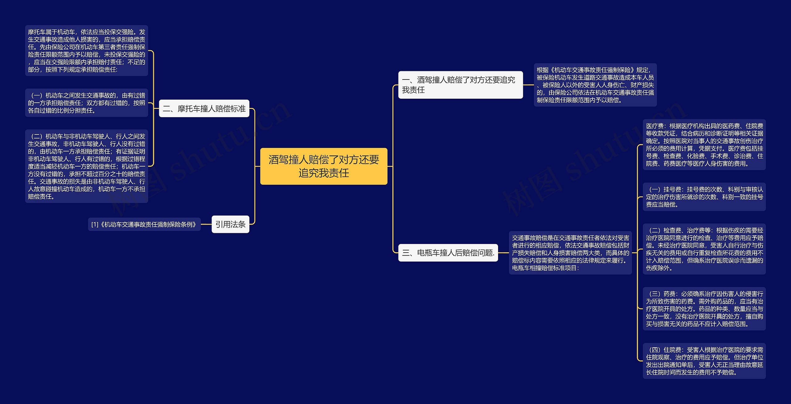 酒驾撞人赔偿了对方还要追究我责任思维导图