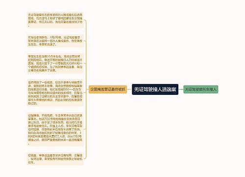 无证驾驶撞人逃逸案