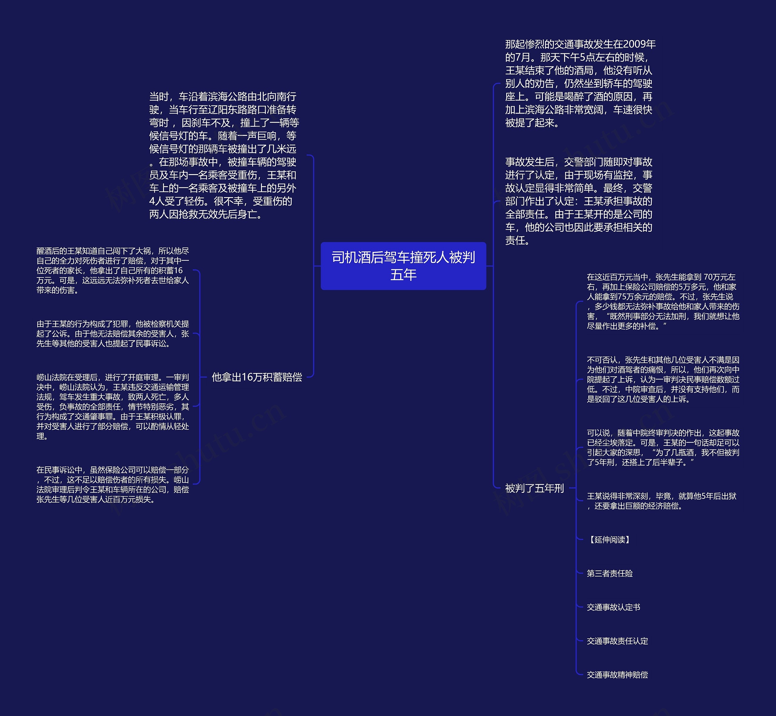 司机酒后驾车撞死人被判五年思维导图